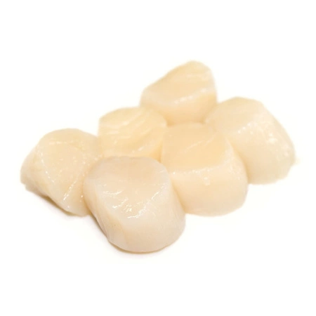 Małże hotate 10/20 1kg mrożone